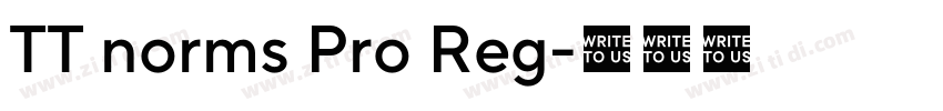 TT norms Pro Reg字体转换 TT norms Pro Reg字体转换